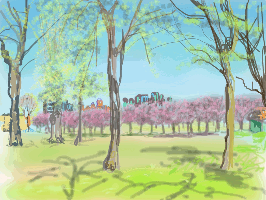 Cherry_trees