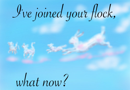 IvejoinedYourFlockWhatNow_rabbit clouds text